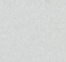 Линолеум Forbo Sphera Element 50007 grey sky фото 1 | FLOORDEALER